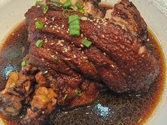 招牌黑皮肘子-老码头黑皮肘子锅包肉(文政街店)