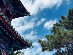 -天津大悲禅院