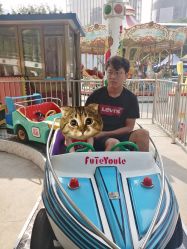 -大望京儿童游乐场