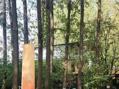 -林间山庄