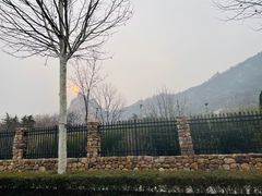 -嵖岈山风景区