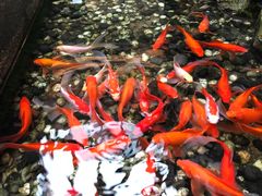 -苏州独墅湖书香世家酒店