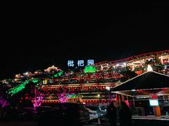 -枇杷园食为鲜火锅(南山店)
