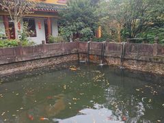 -普陀山慧济禅寺