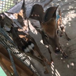 -萌宠亲子动物乐园(槐房万达店)