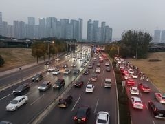 -白鹭湾湿地公园