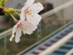 -幕燕滨江·长江观音景区