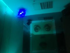 -真爱范特西KTV(交大店)