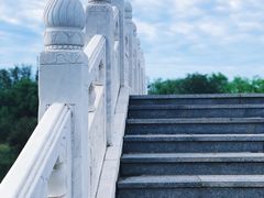 -大港湿地公园