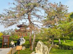 -大慈恩寺(大雁塔)