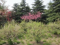 -白塘生态植物园