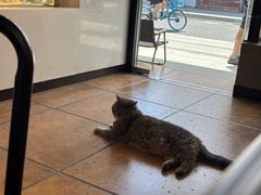 -B.O.M波姆烘焙(凤凰街店)