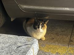 -便利蜂(广安门内大街319号店)