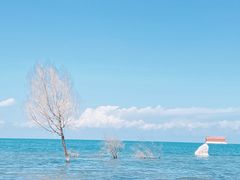 -青海湖国家重点风景名胜区