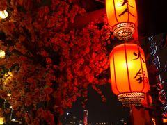 -桃花沅火锅(长嘉汇江景店)