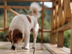 -硗碛藏寨·神木垒景区