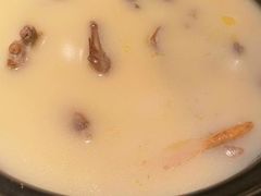 -羽鸽集·乳鸽专门店·地道顺德菜(岭南站店)