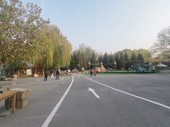 -蒙古大营(朝阳公园店)