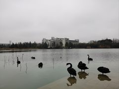 -江南大学(蠡湖校区)