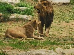 -北京野生动物园