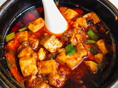 -陈麻婆豆腐总店