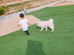 -萌宠亲子动物乐园(槐房万达店)