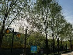 -西部长青自然儿童乐园