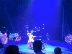 -珠海横琴长隆《卡卡虎奇遇记》