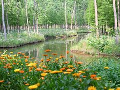 -合肥滨湖国家森林公园