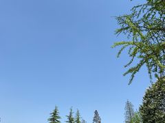 -狼山风景名胜区