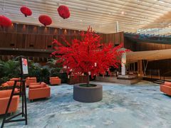 -北京望京凯悦酒店The Lounge大堂酒廊
