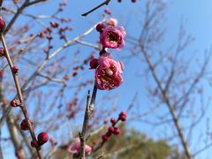 -良渚古城遗址公园