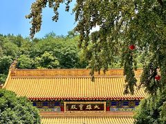 -灵岩山风景区灵岩禅寺