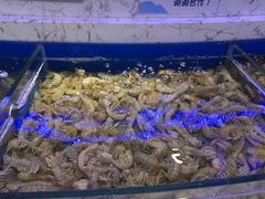 -澜悦港海鲜体验主题餐厅