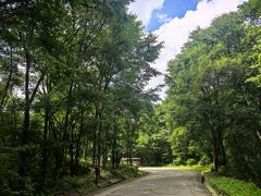 -茅兰沟国家森林公园