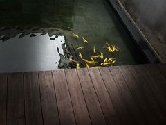 -觀芷隐轩