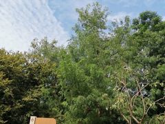 -梁鸿国家湿地公园