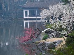 -杭州植物园