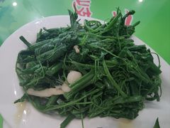 龙须菜-令氏家外家周秦食府(高新店)