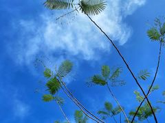 -白沙门生态公园