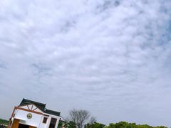 -MUSEO COFFEE咖啡博物馆