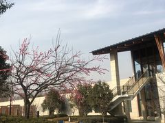 -思念果岭悦温泉