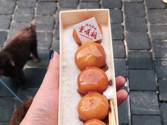 -董顺桃小粒臭豆腐(坡子街店)