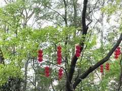 -白云山风景名胜区