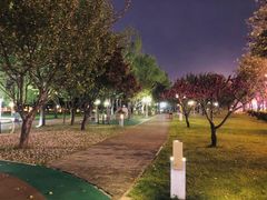 -唐城墙遗址公园