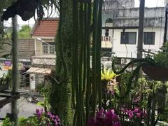 -自然餐厅(Phuket)