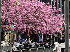 -1点点(清湖地铁店)