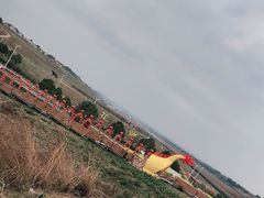 -空港花田景区