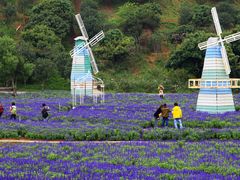 -松山湖南湖湾露营营地