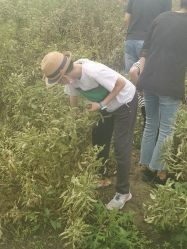 点击看大图 -麦粒鸟亲子游